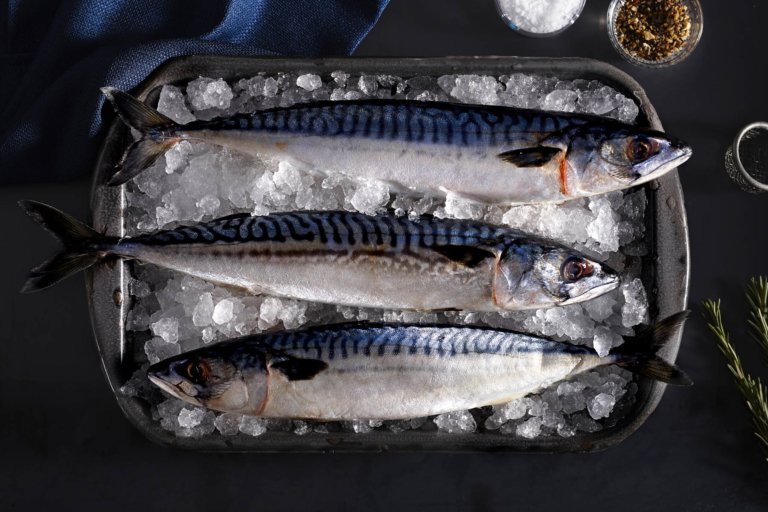 Food Photographer Food Photography Food Ingredients Ingredients Photographer Ingredients Photography Commercial Photographer Commercial Photography In Studio Photography Best Food Photographer Best Food Photography Restaurant Photography CPG Photography CPG Photographer Raw Food Photography Raw Food Photographer Packaging Photographer Packaging Photography, Three raw fish on ice