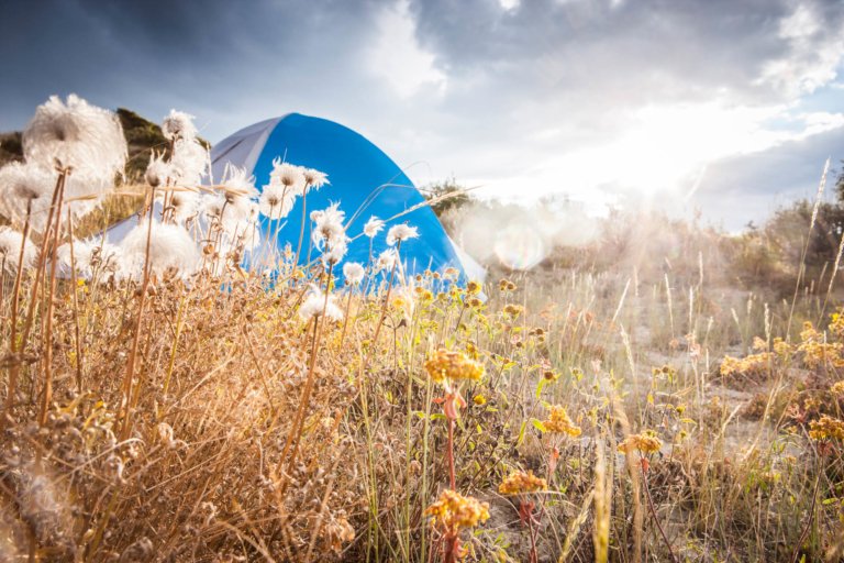 A tent in a nice field in the autumn