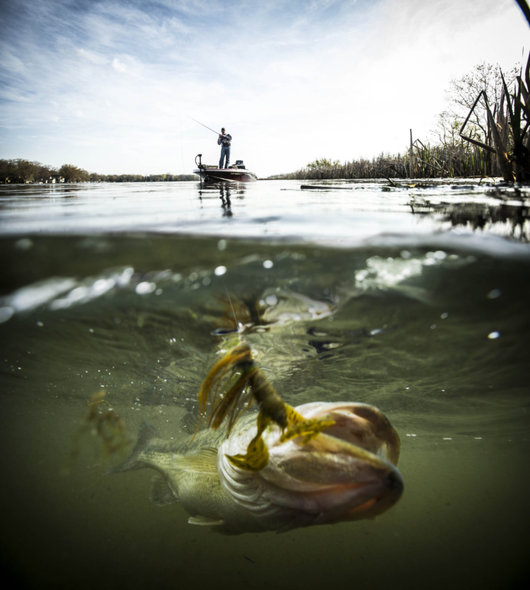 commercial outdoor product photography showing fishing lure underwater with fish approaching bait