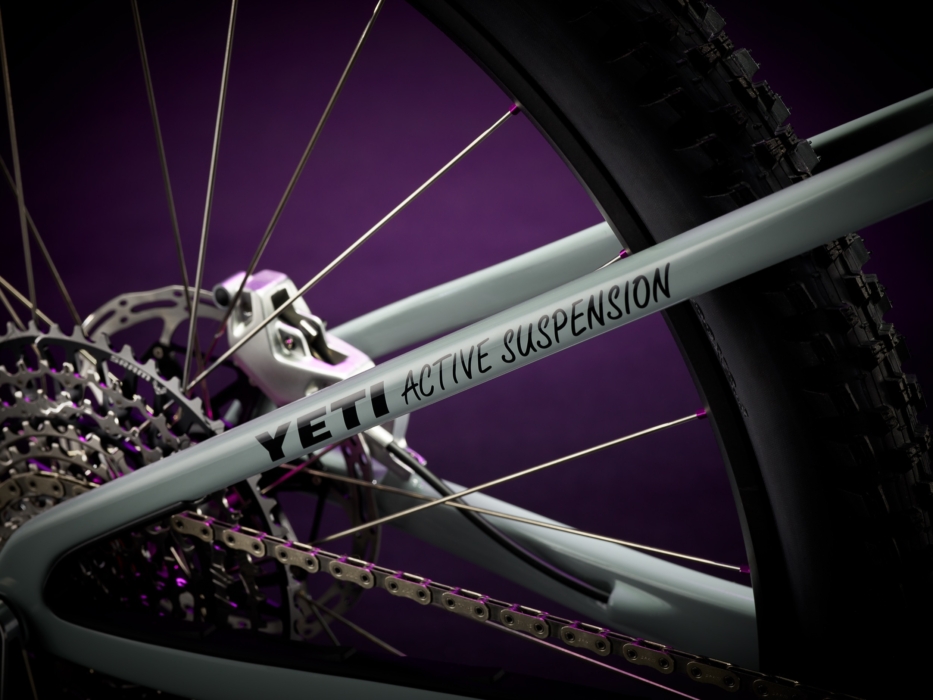 Yeti, bike, purple, custom, 40th anniversary, brent