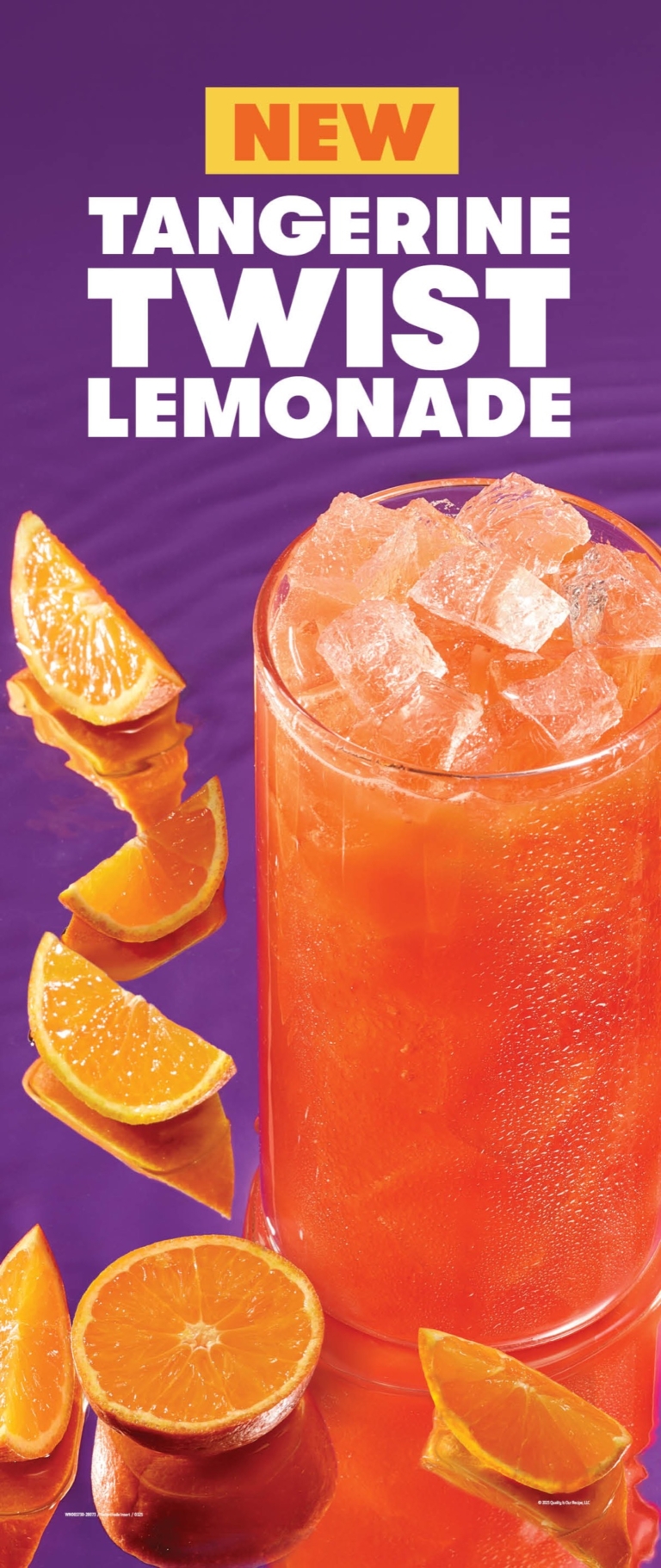 a glass of orange juice with ice and orange slices