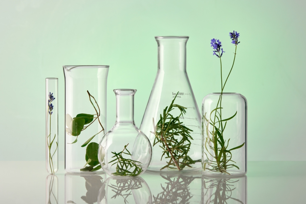 a group of glass containers with plants in them