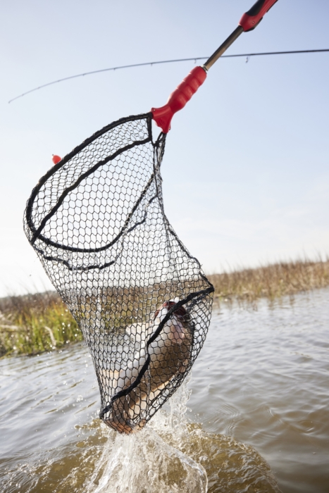 Fishing net catching a fish in the water, captured mid-action for outdoor adventure and angling lifestyle photography by OMS Photography