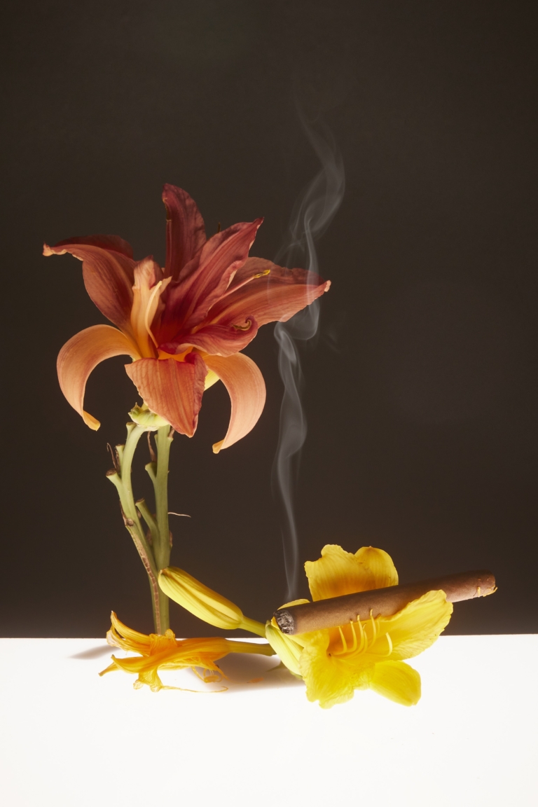 A flower with a cigar in it