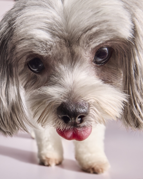 <a href="/delaneymcquown/">Photographer: Delaney McQuown</a>