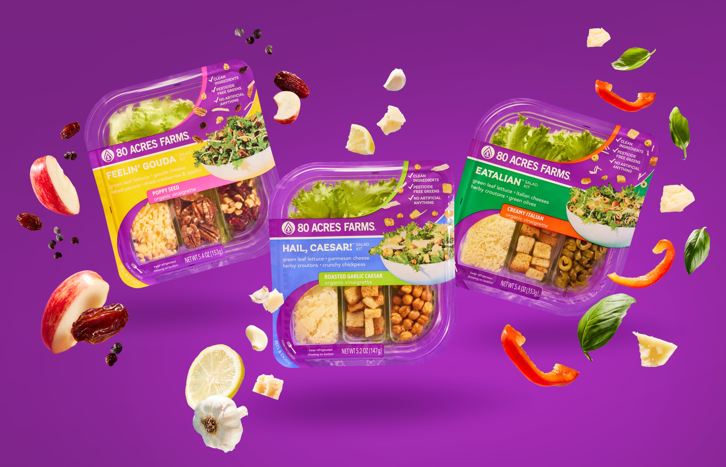 Packaged prepared meals on colorful background — CPG food photography