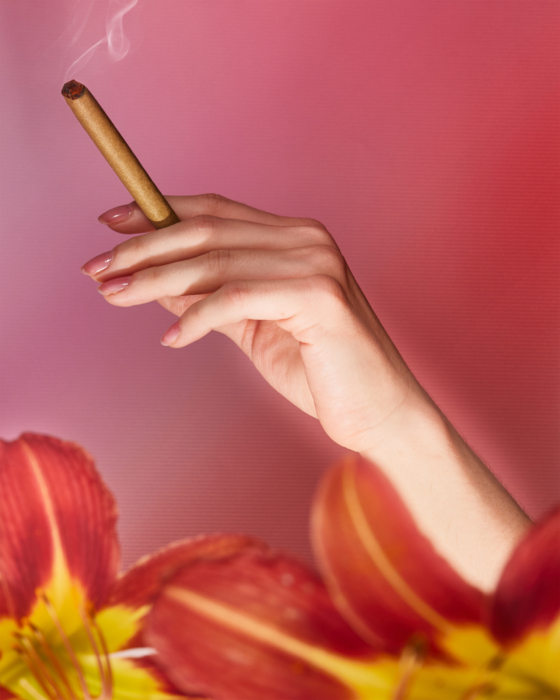 Elegant hand holding a lit cannabis joint in front of a pink gradient background with tropical flower accents.