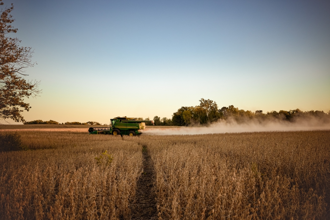 <a href="/montymilburn/">Photographer: Monty Milburn</a>