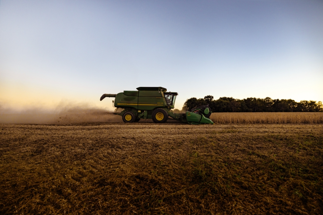 <a href="/montymilburn/">Photographer: Monty Milburn</a>