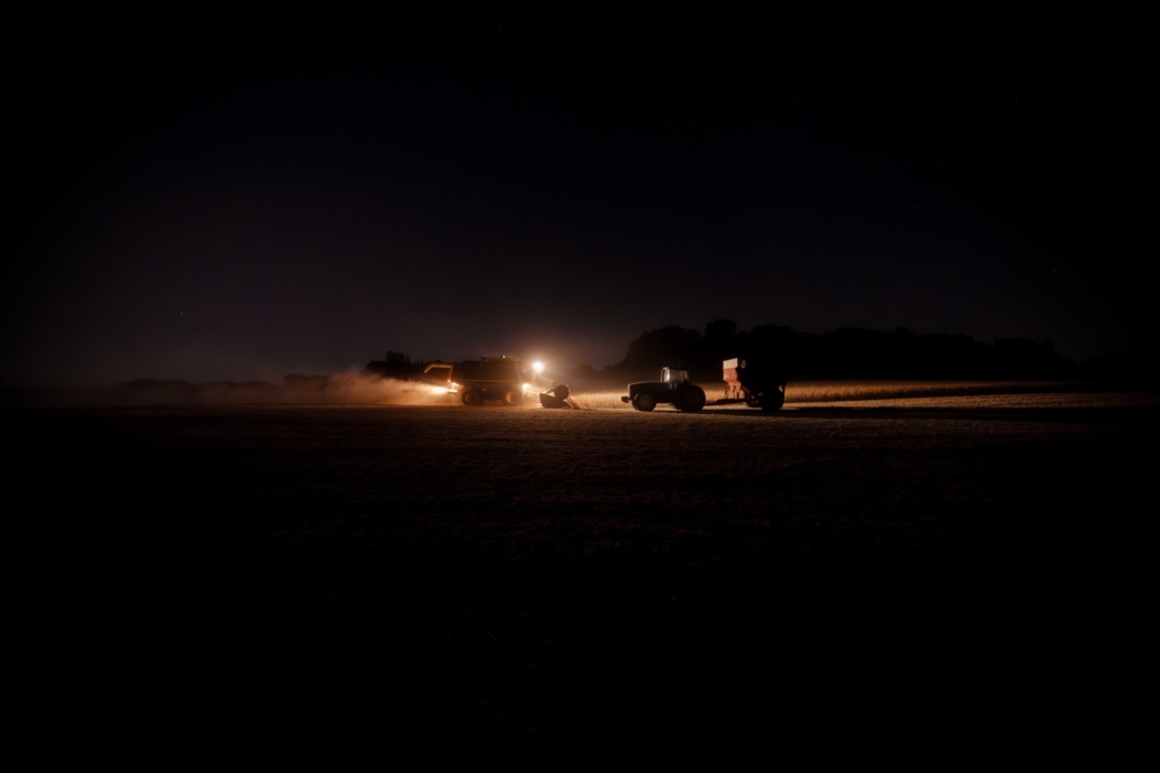 <a href="/montymilburn/">Photographer: Monty Milburn</a>