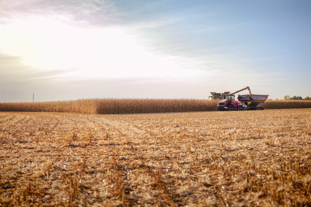 <a href="/montymilburn/">Photographer: Monty Milburn</a>