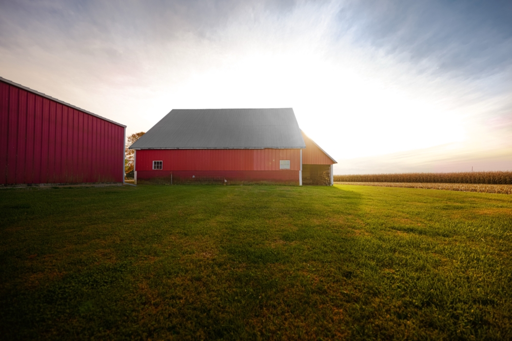 <a href="/montymilburn/">Photographer: Monty Milburn</a>