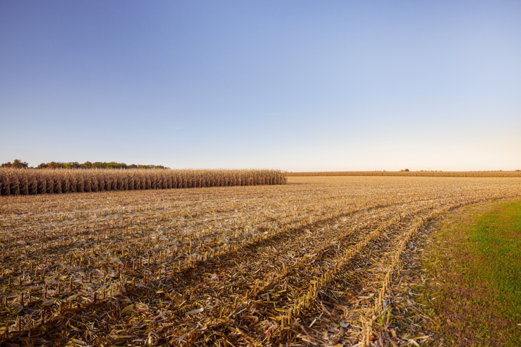 <a href="/montymilburn/">Photographer: Monty Milburn</a>