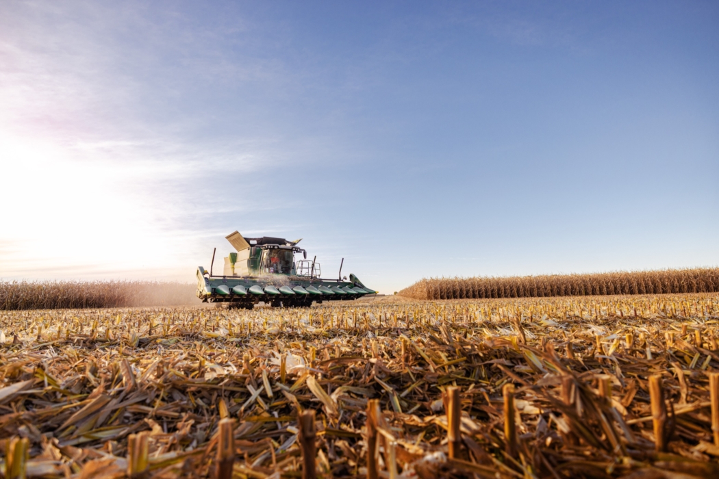 <a href="/montymilburn/">Photographer: Monty Milburn</a>