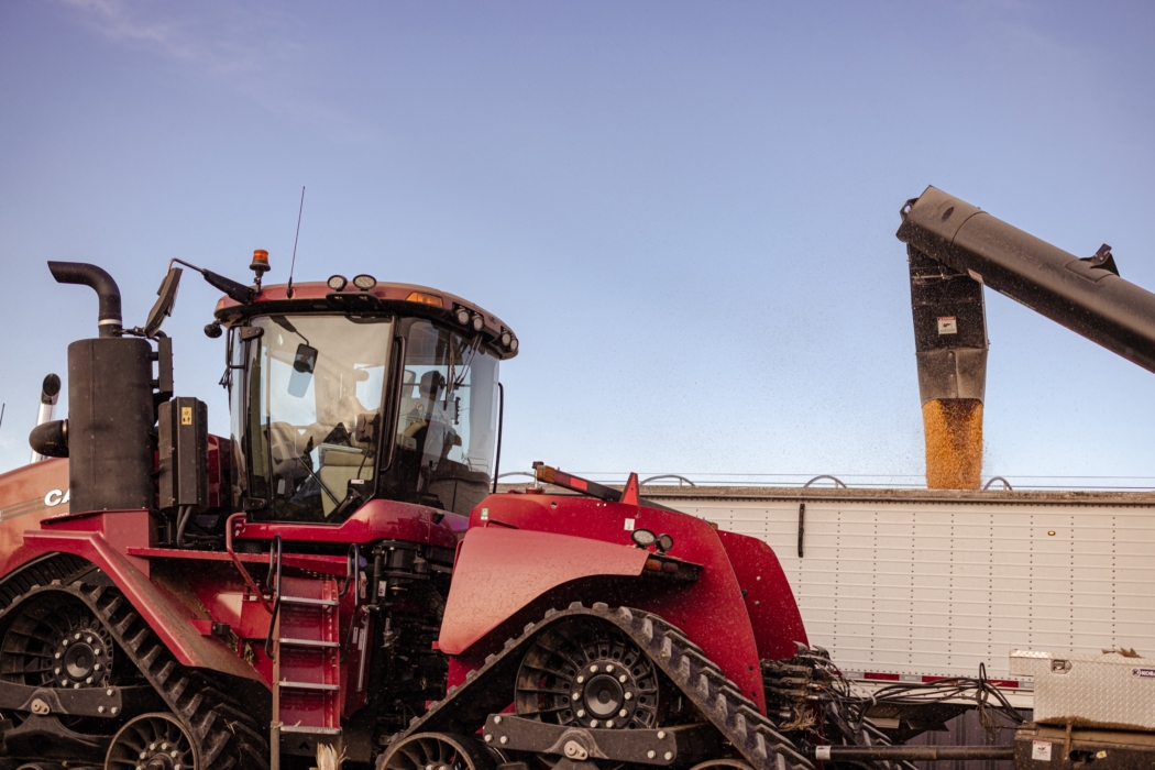 <a href="/montymilburn/">Photographer: Monty Milburn</a>