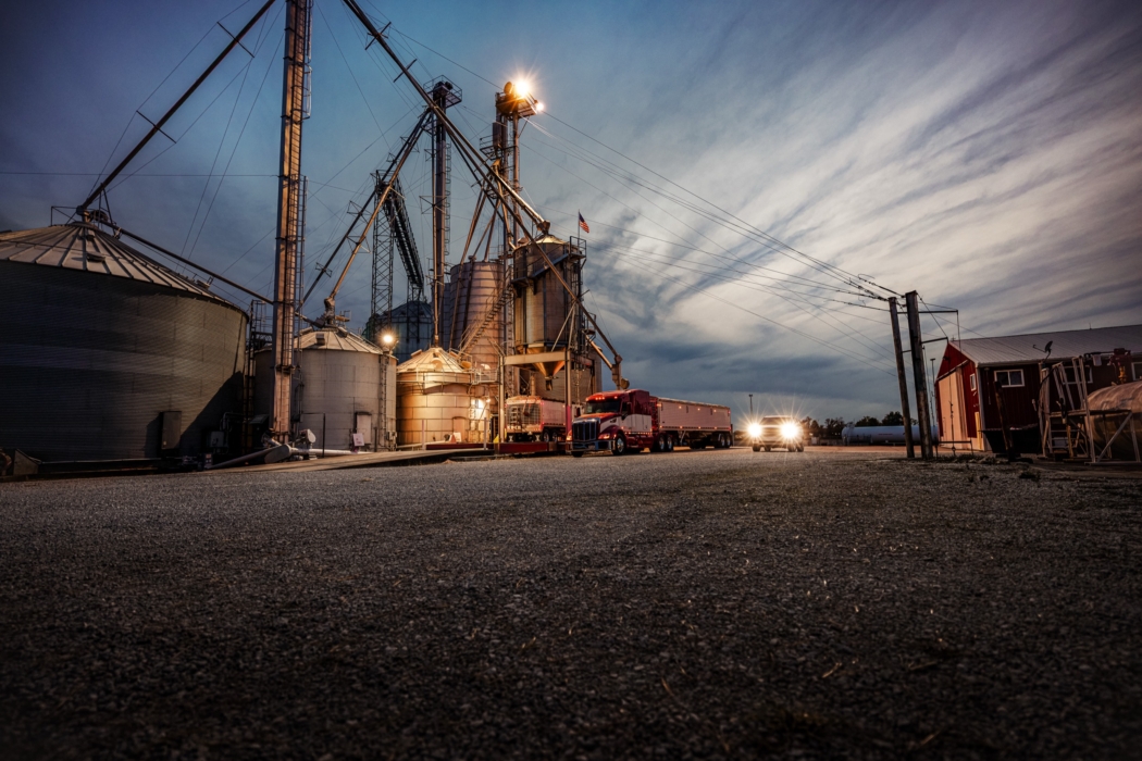 <a href="/montymilburn/">Photographer: Monty Milburn</a>