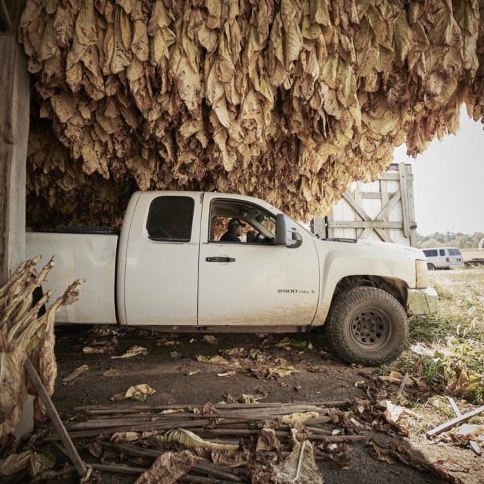 <a href="/montymilburn/">Photographer: Monty Milburn</a>