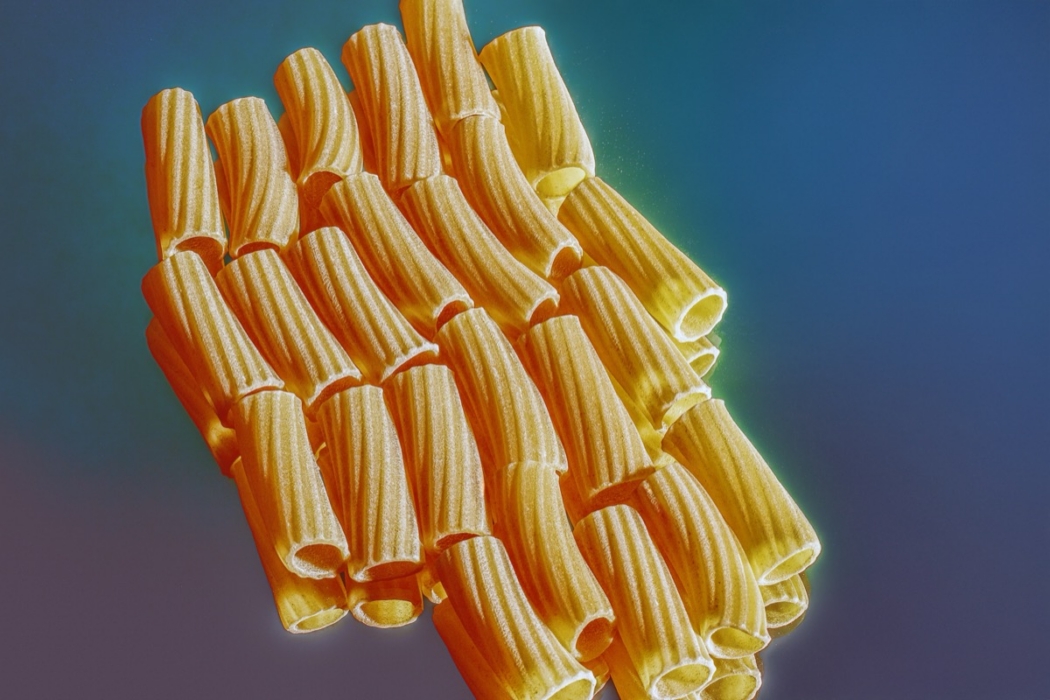 Close-up of rigatoni pasta arranged in a sculptural formation against a colorful background
