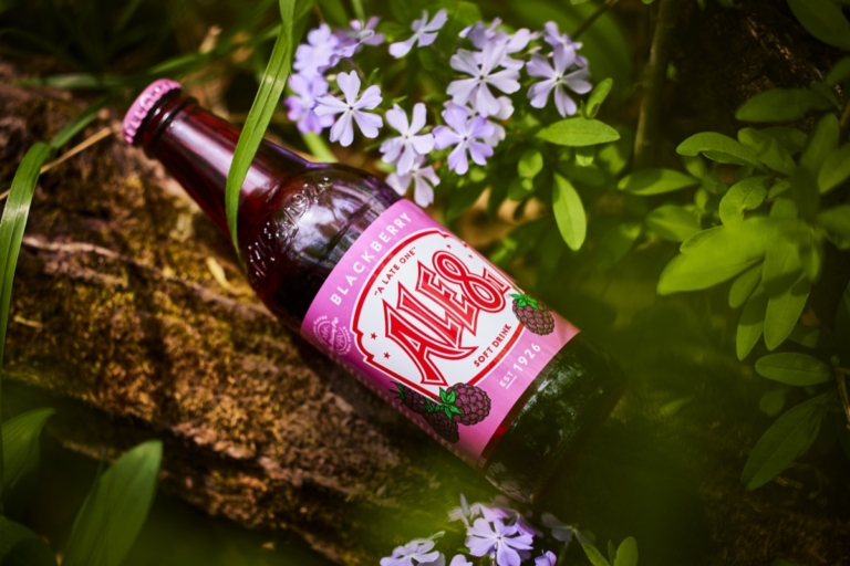 Bottle of Ale-8-One Blackberry soda resting on its side on a rock surrounded by green foliage and purple wildflowers