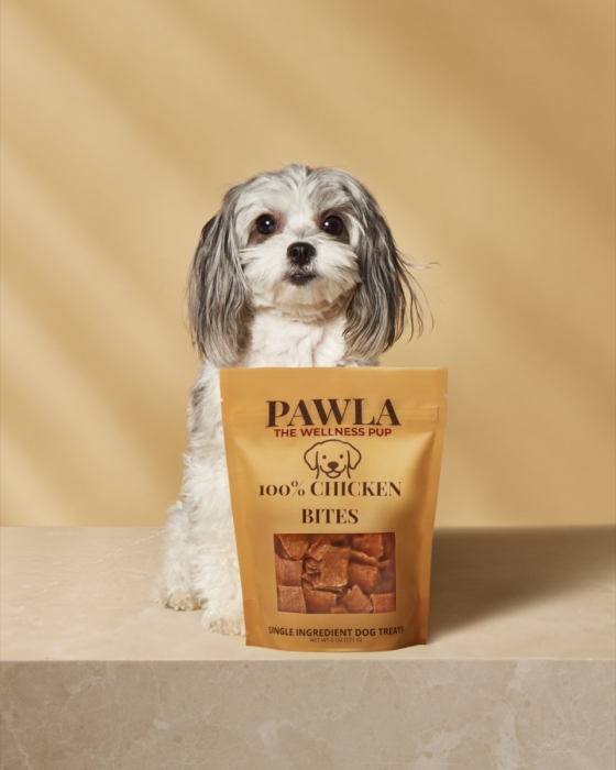 Small gray and white dog sitting behind a bag of Pawla 100% Chicken Bites dog treats against a warm tan background
