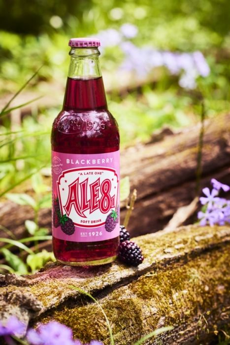 Bottle of Ale-8-One Blackberry soda standing upright on a moss-covered log with fresh blackberries and purple wildflowers in a wooded setting